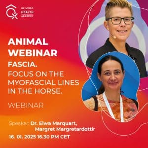 Webinar over myofasciale lijnen bij paarden met sprekers' foto's.