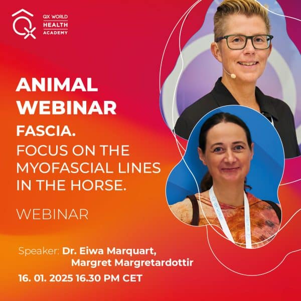 Webinar on horse myofascial lines with speakers' photos.